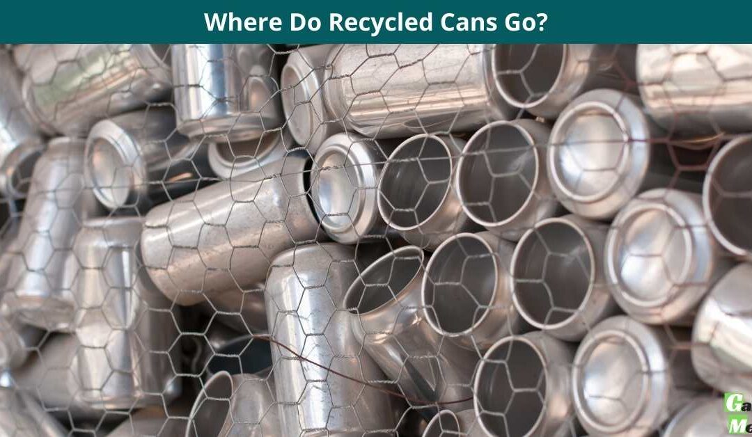 Where Do Recycled Cans Go