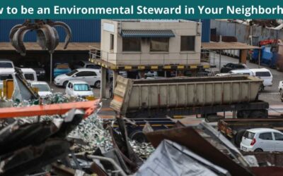How to be an Environmental Steward in Your Neighborhood