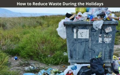 How to Reduce Waste During the Holidays