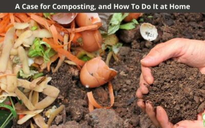 A Case for Composting, and How To Do It at Home