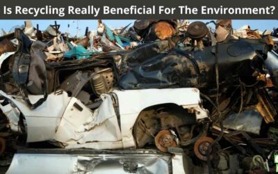 Home 1 Is Recycling Really Beneficial For The Environment?